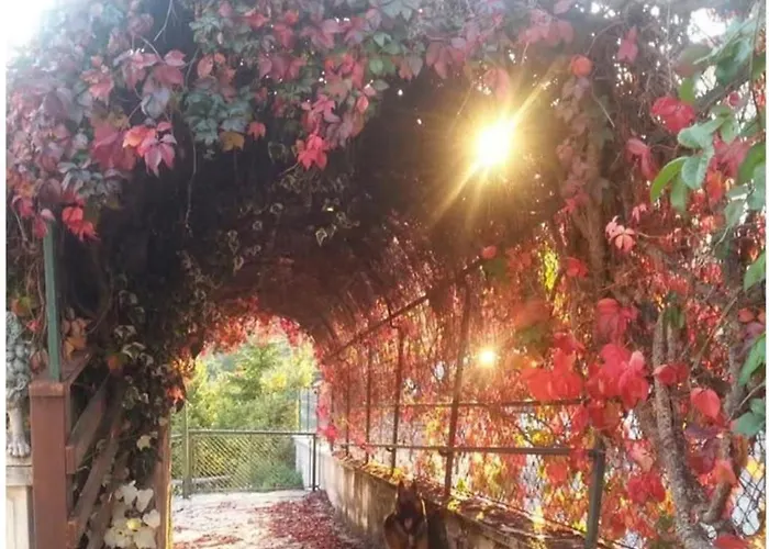 I Colori Dell'orizzonte Bed & Breakfast